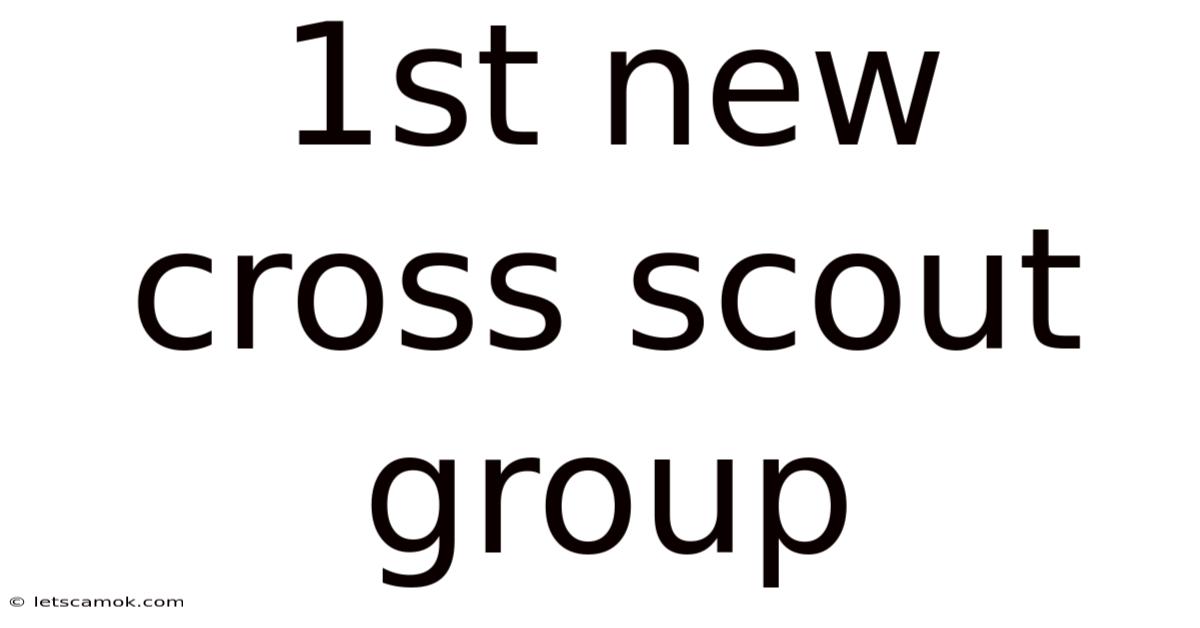 1st New Cross Scout Group