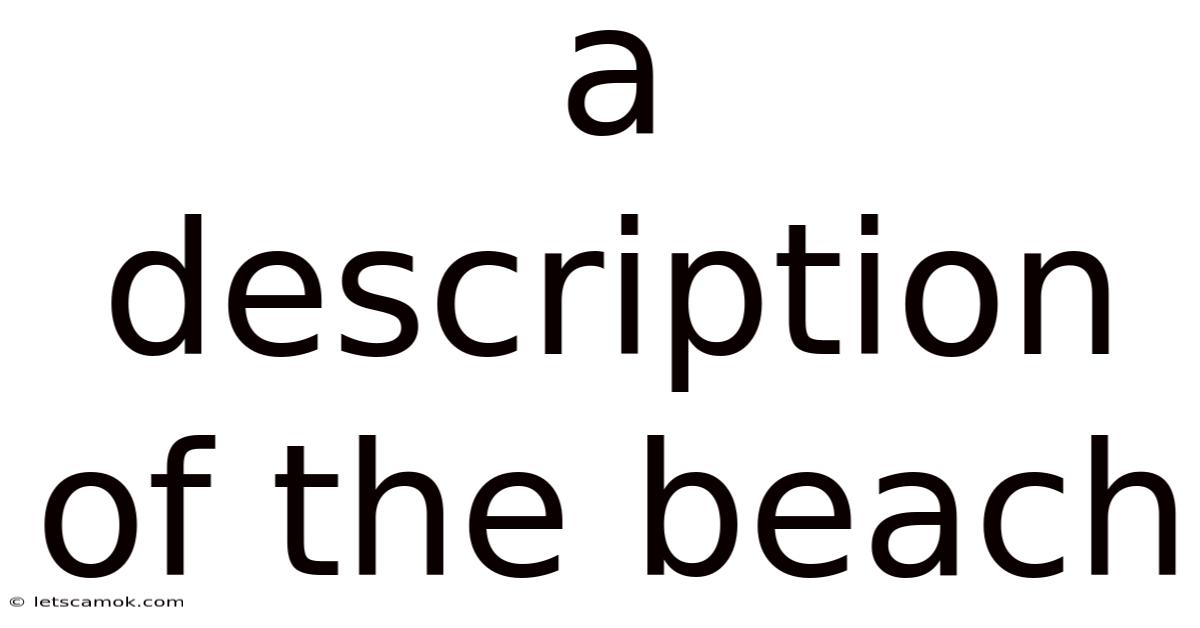 A Description Of The Beach