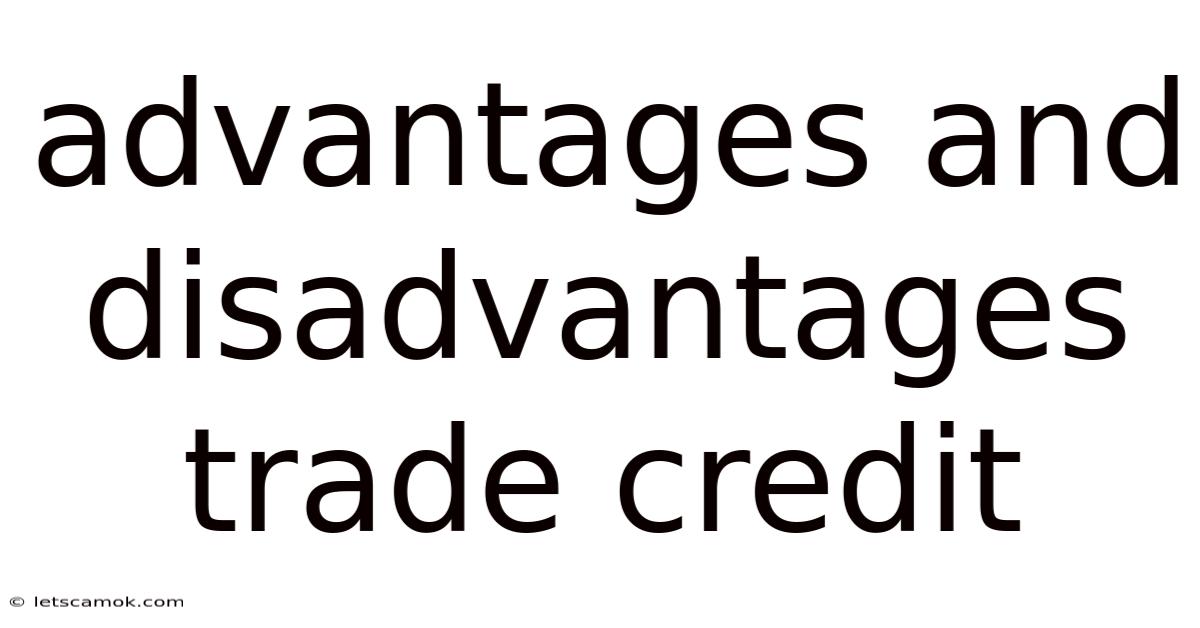 Advantages And Disadvantages Trade Credit