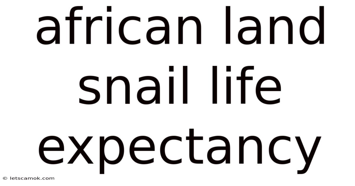 African Land Snail Life Expectancy