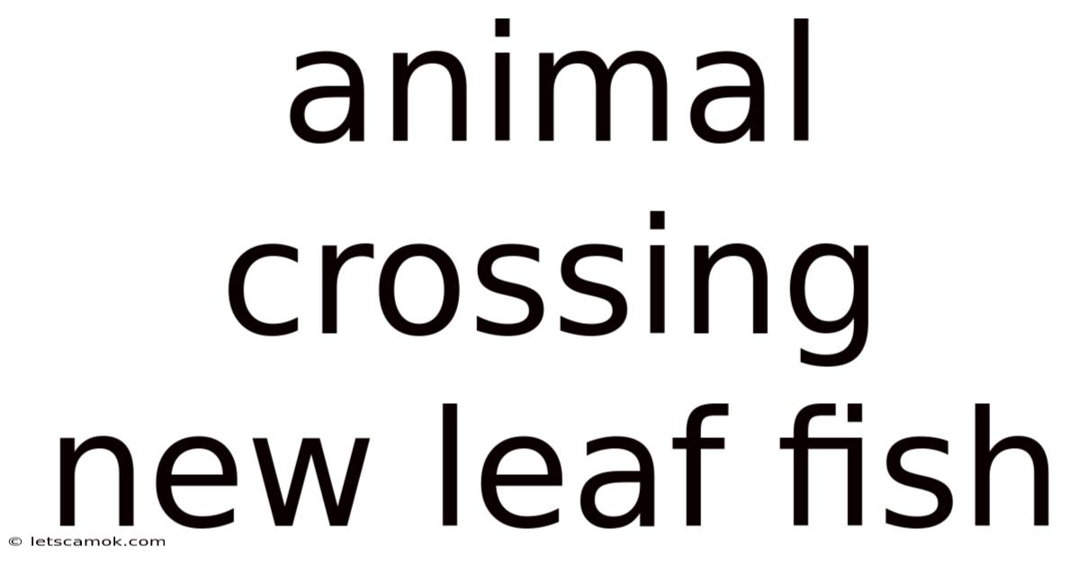 Animal Crossing New Leaf Fish