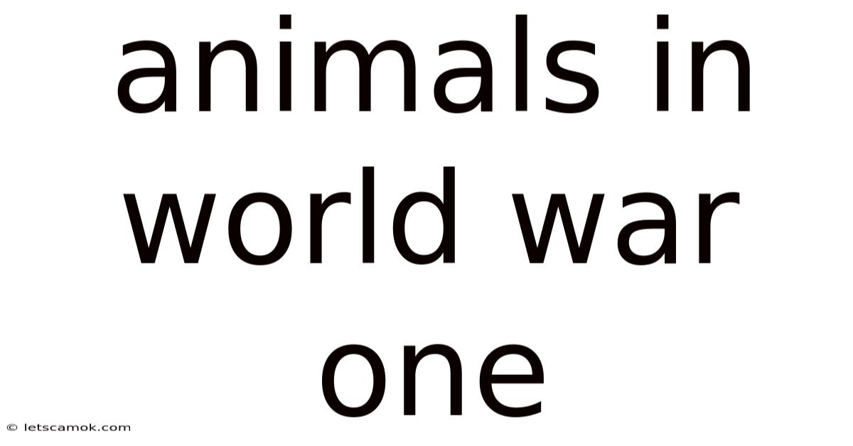 Animals In World War One