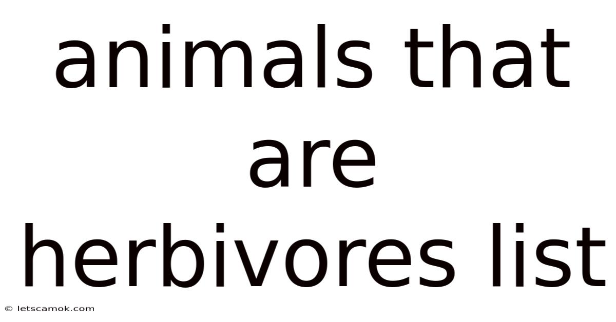 Animals That Are Herbivores List
