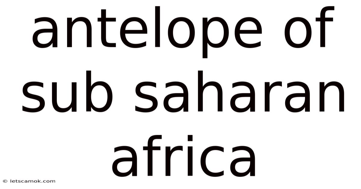 Antelope Of Sub Saharan Africa