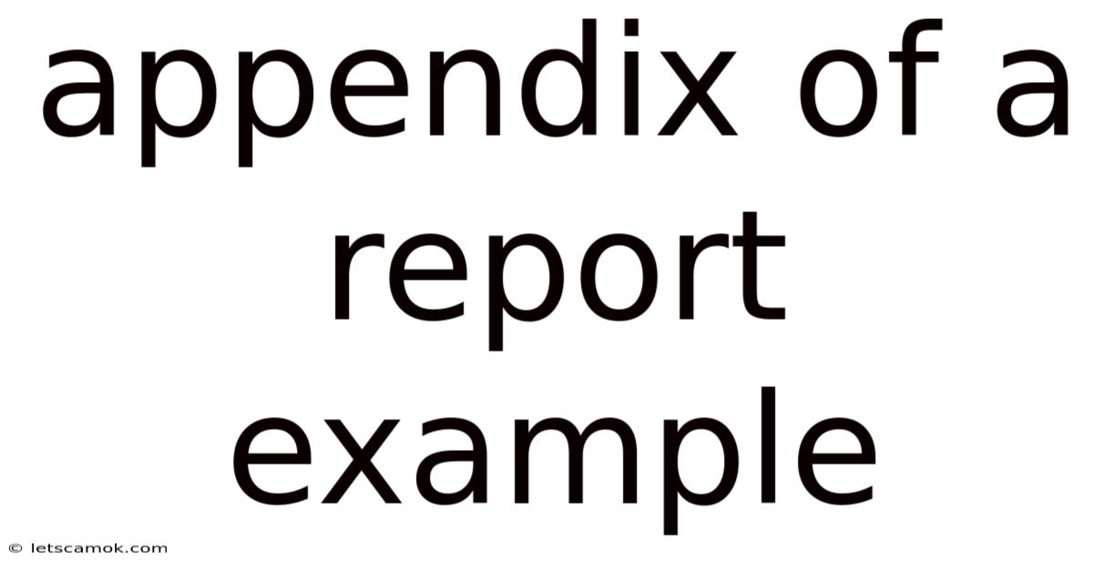 Appendix Of A Report Example