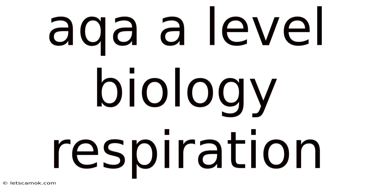 Aqa A Level Biology Respiration