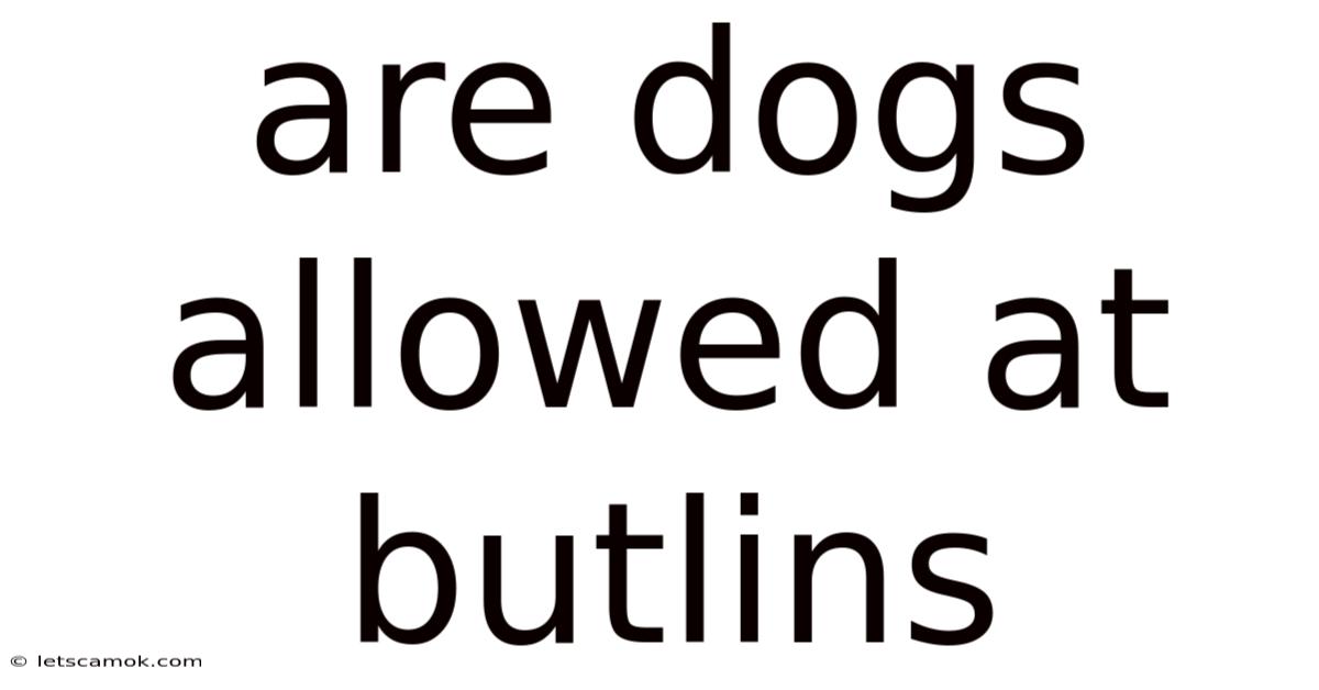 Are Dogs Allowed At Butlins