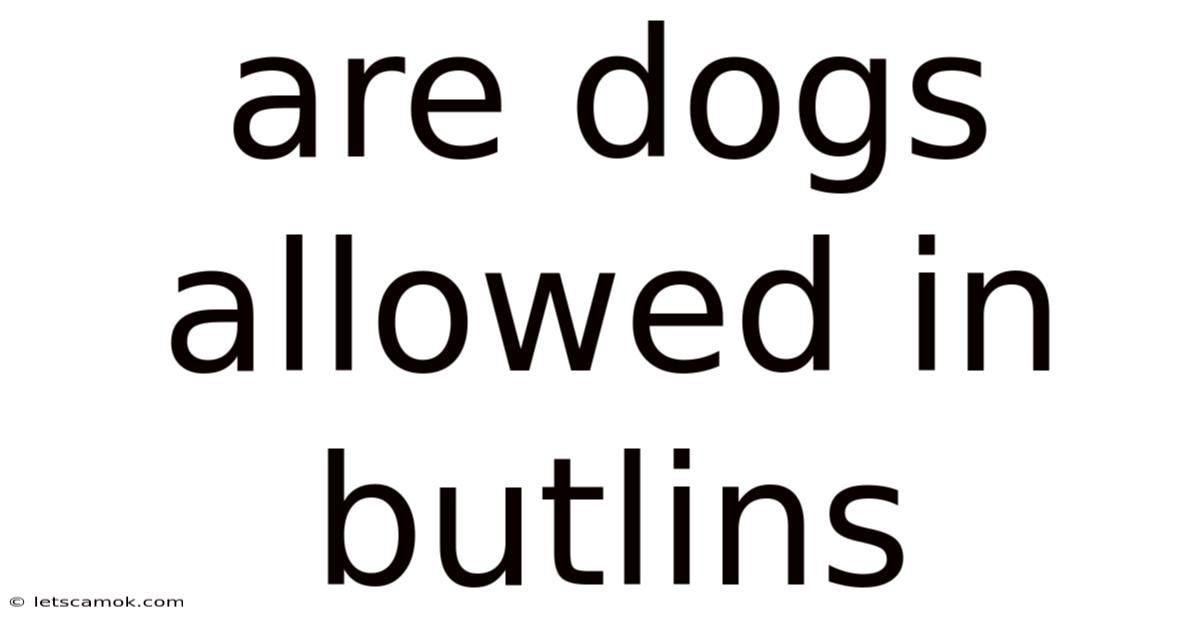 Are Dogs Allowed In Butlins