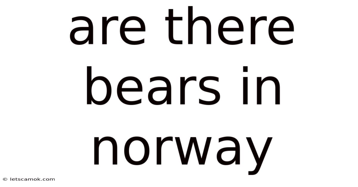 Are There Bears In Norway