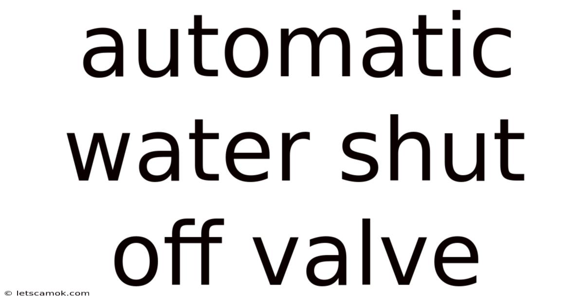 Automatic Water Shut Off Valve