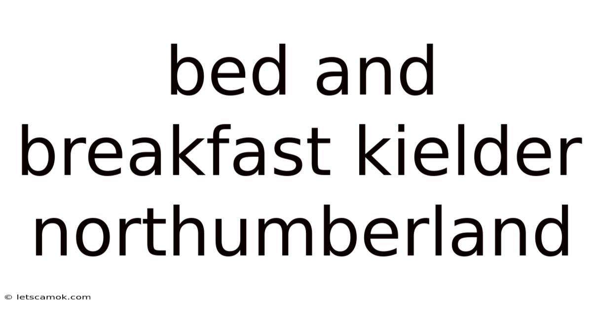 Bed And Breakfast Kielder Northumberland