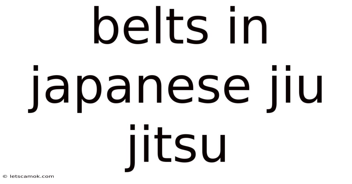 Belts In Japanese Jiu Jitsu