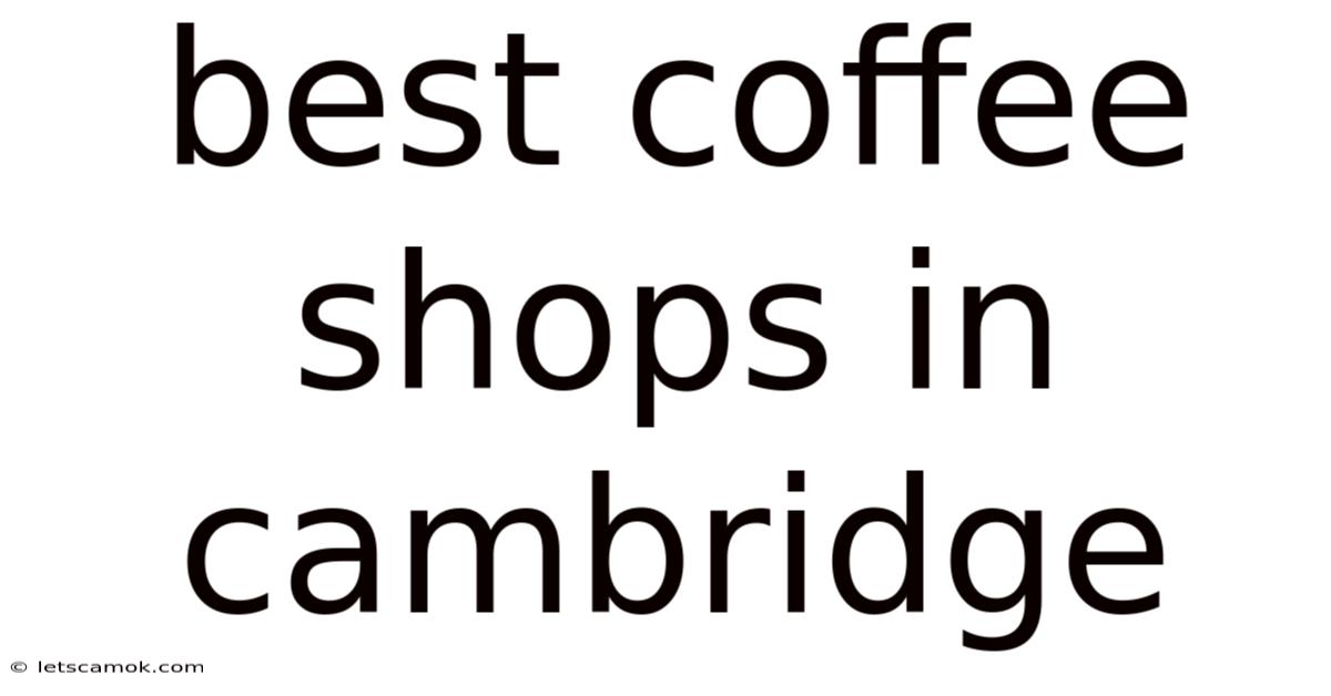 Best Coffee Shops In Cambridge