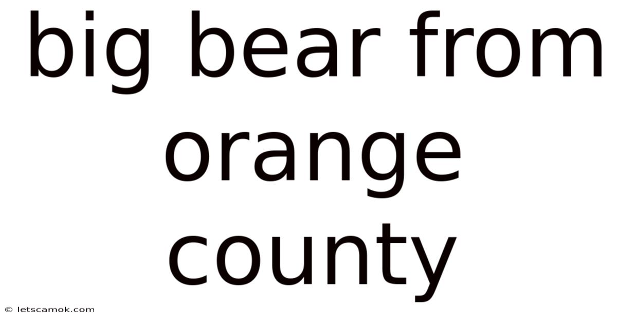 Big Bear From Orange County