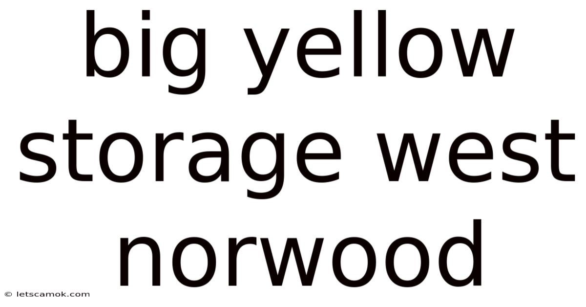 Big Yellow Storage West Norwood