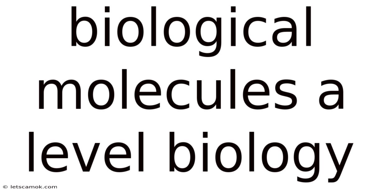 Biological Molecules A Level Biology