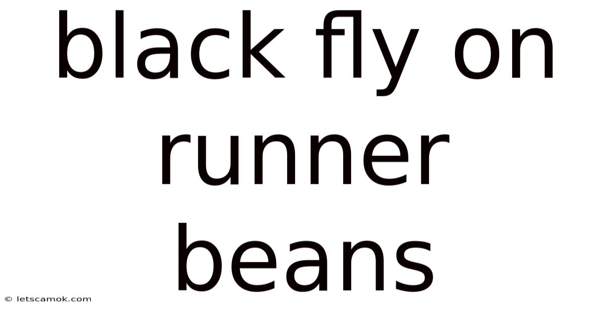 Black Fly On Runner Beans