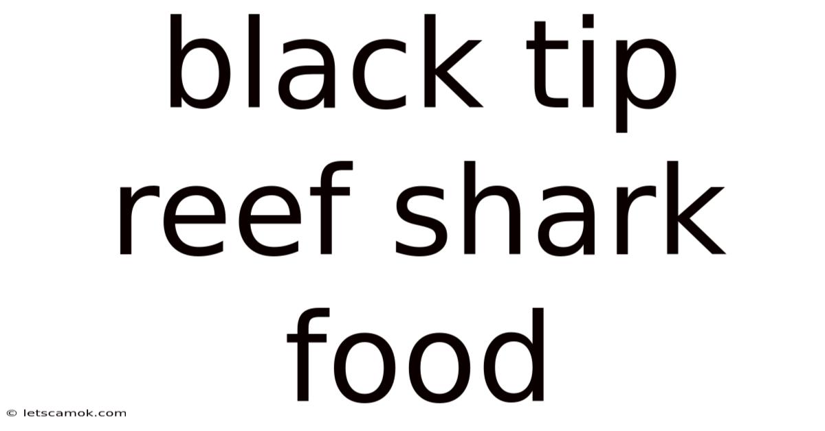 Black Tip Reef Shark Food