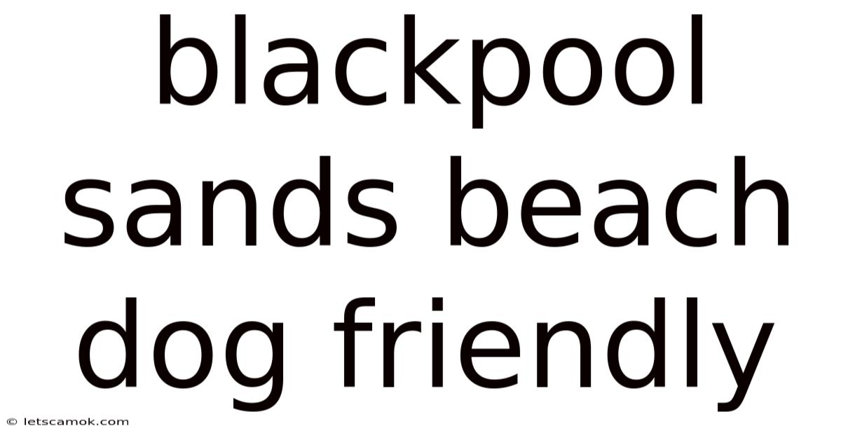 Blackpool Sands Beach Dog Friendly