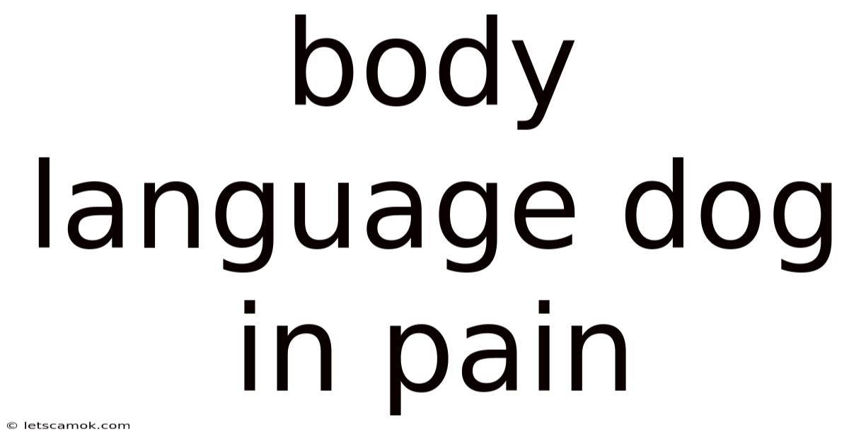 Body Language Dog In Pain