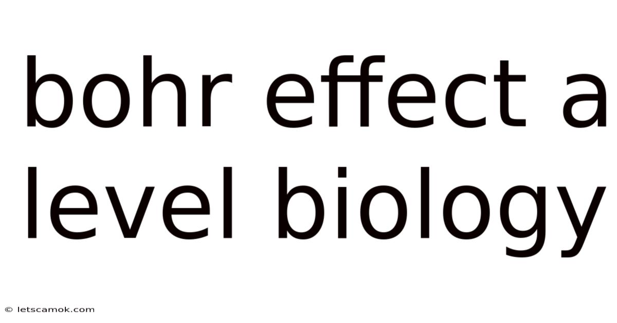 Bohr Effect A Level Biology