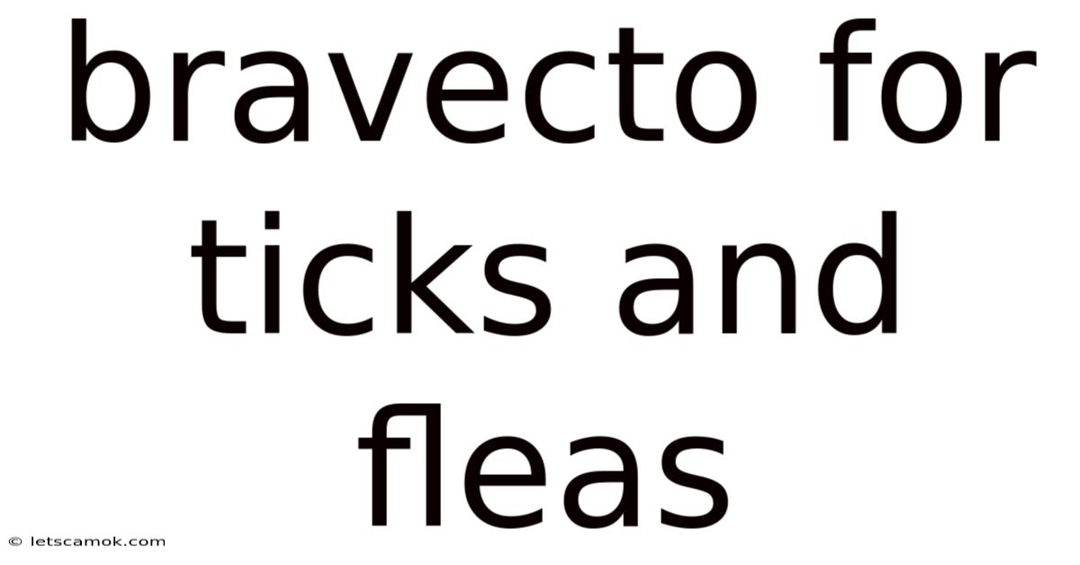 Bravecto For Ticks And Fleas