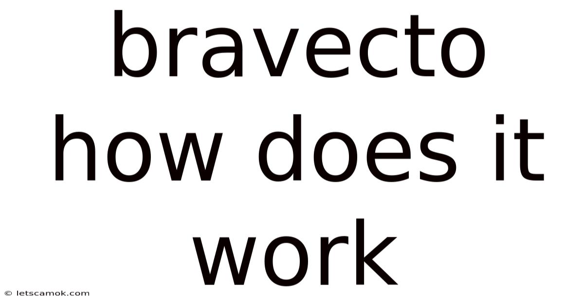 Bravecto How Does It Work
