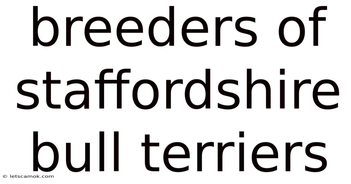 Breeders Of Staffordshire Bull Terriers