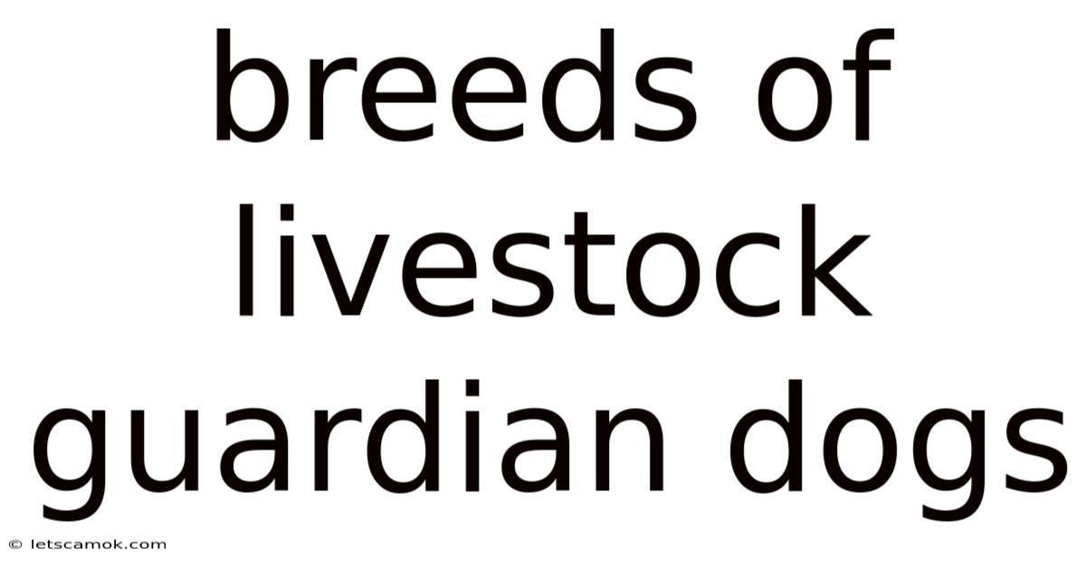 Breeds Of Livestock Guardian Dogs