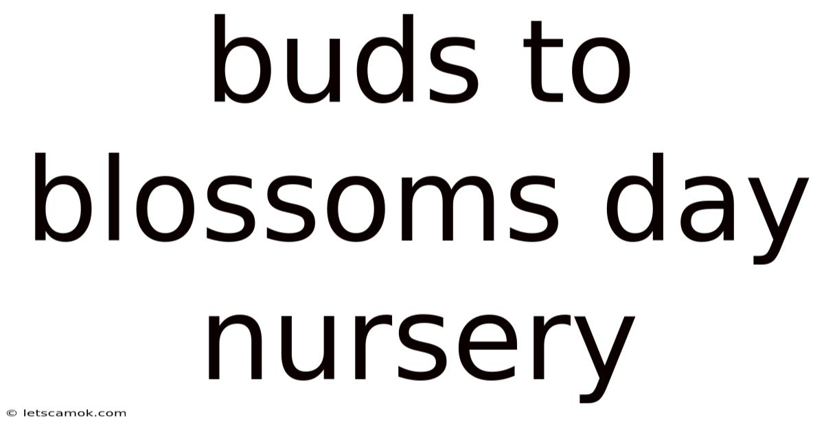 Buds To Blossoms Day Nursery