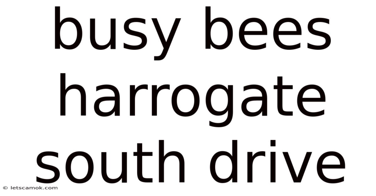 Busy Bees Harrogate South Drive