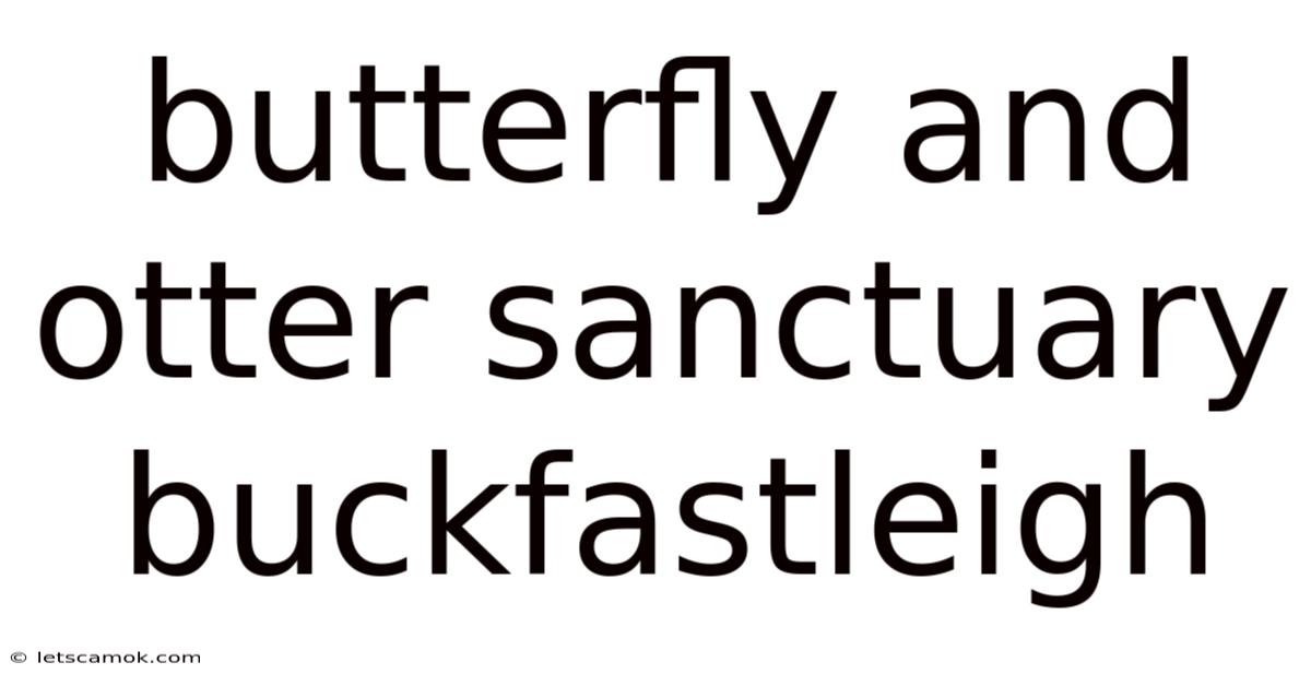 Butterfly And Otter Sanctuary Buckfastleigh