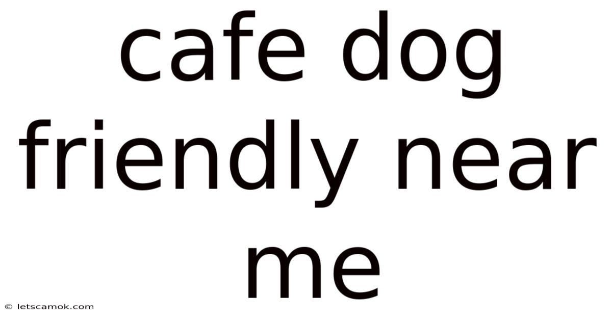 Cafe Dog Friendly Near Me