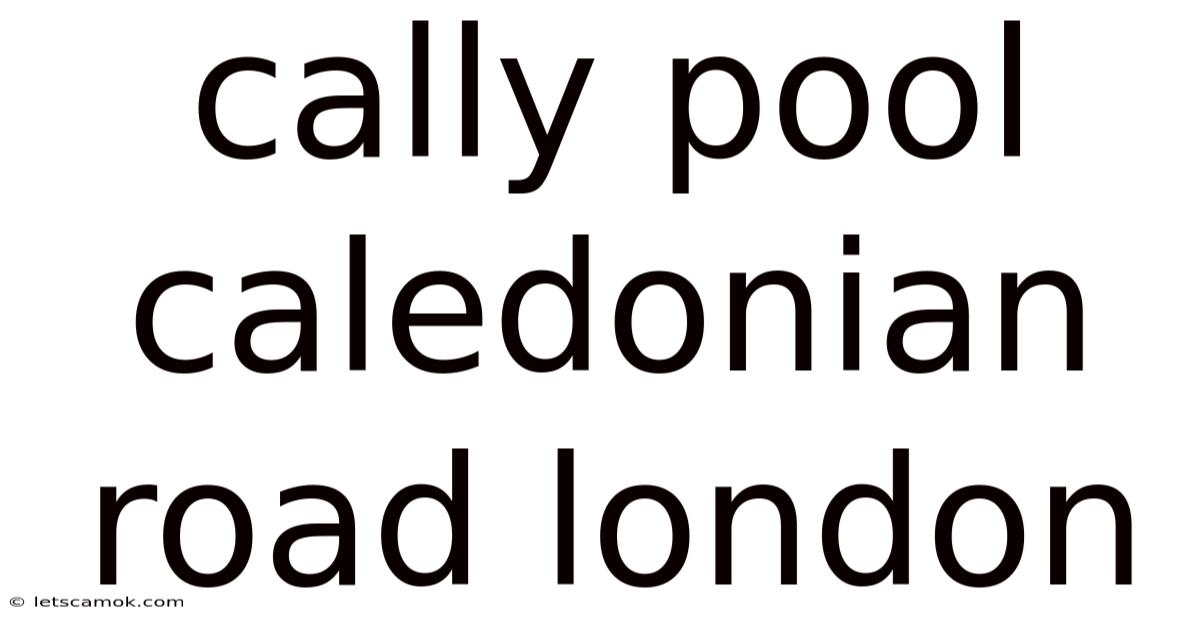Cally Pool Caledonian Road London