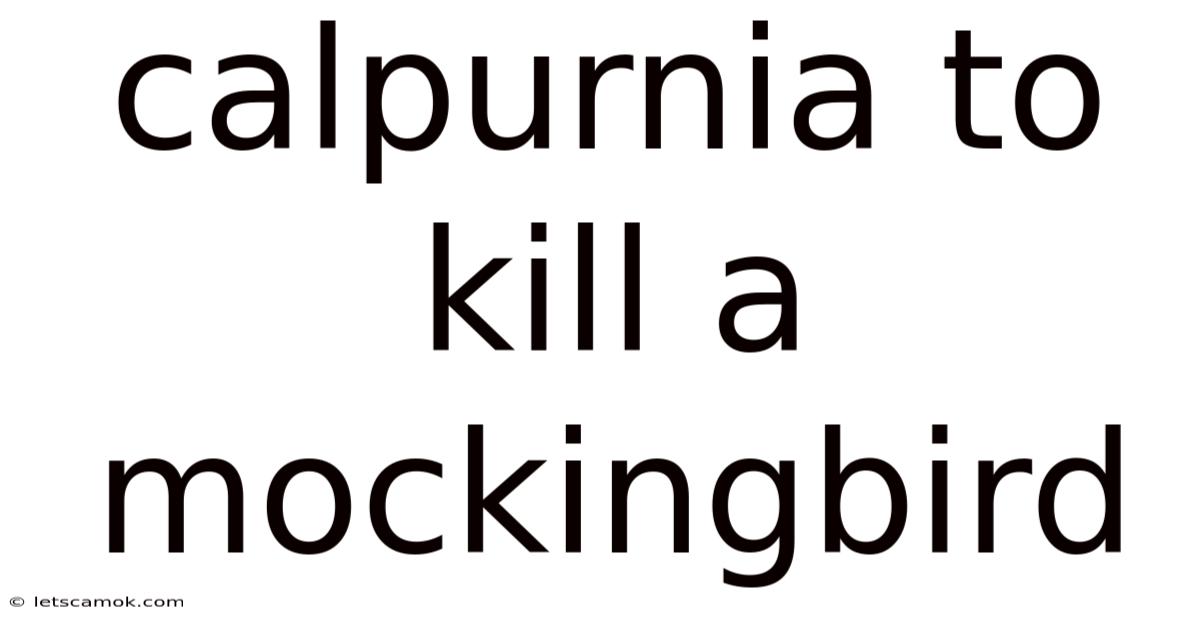 Calpurnia To Kill A Mockingbird
