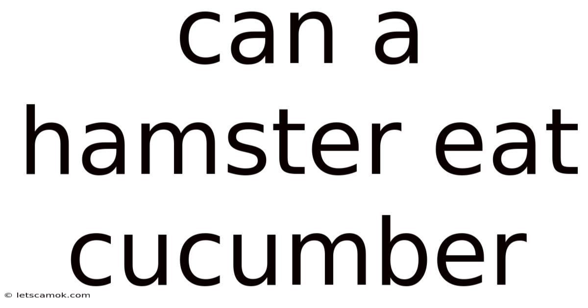 Can A Hamster Eat Cucumber