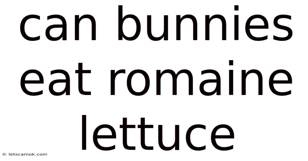 Can Bunnies Eat Romaine Lettuce