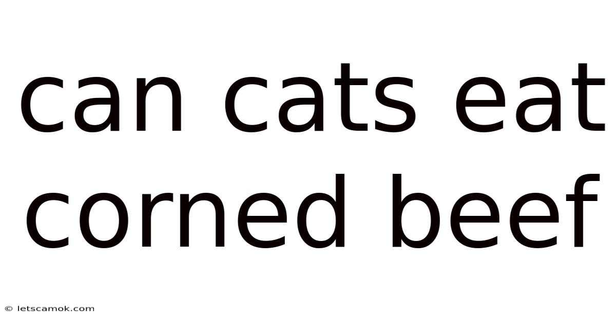 Can Cats Eat Corned Beef