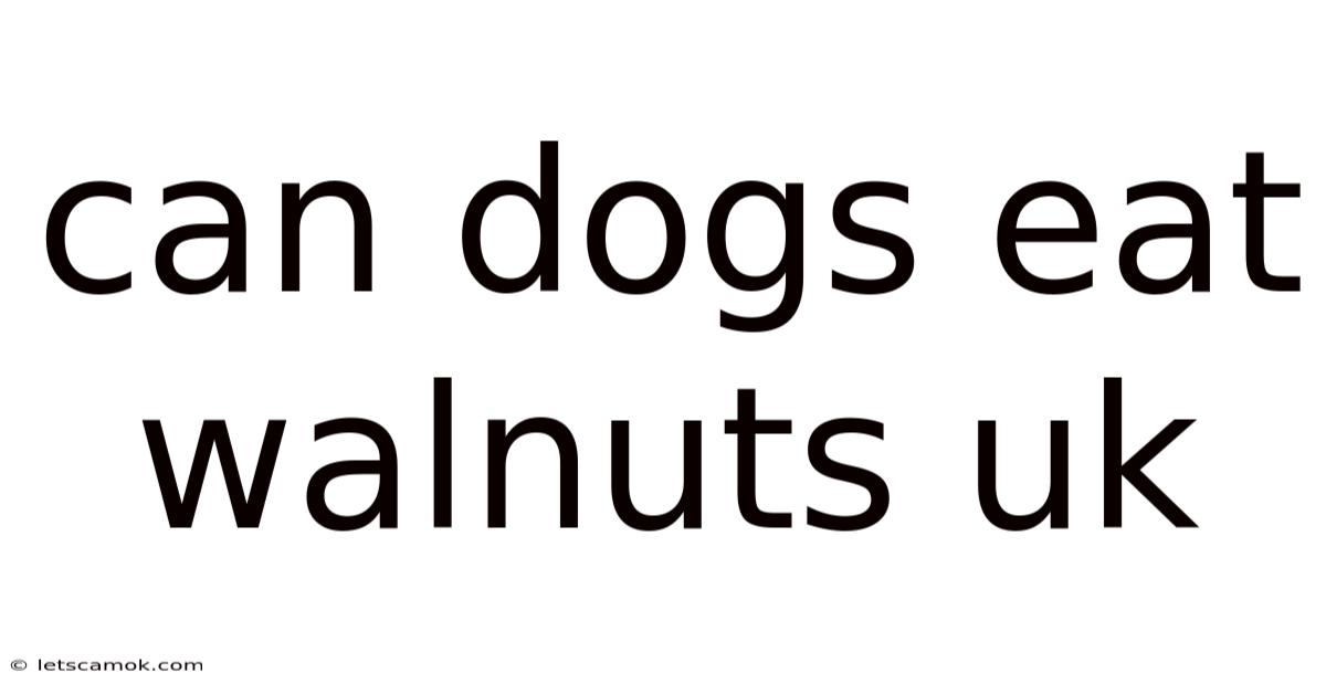 Can Dogs Eat Walnuts Uk