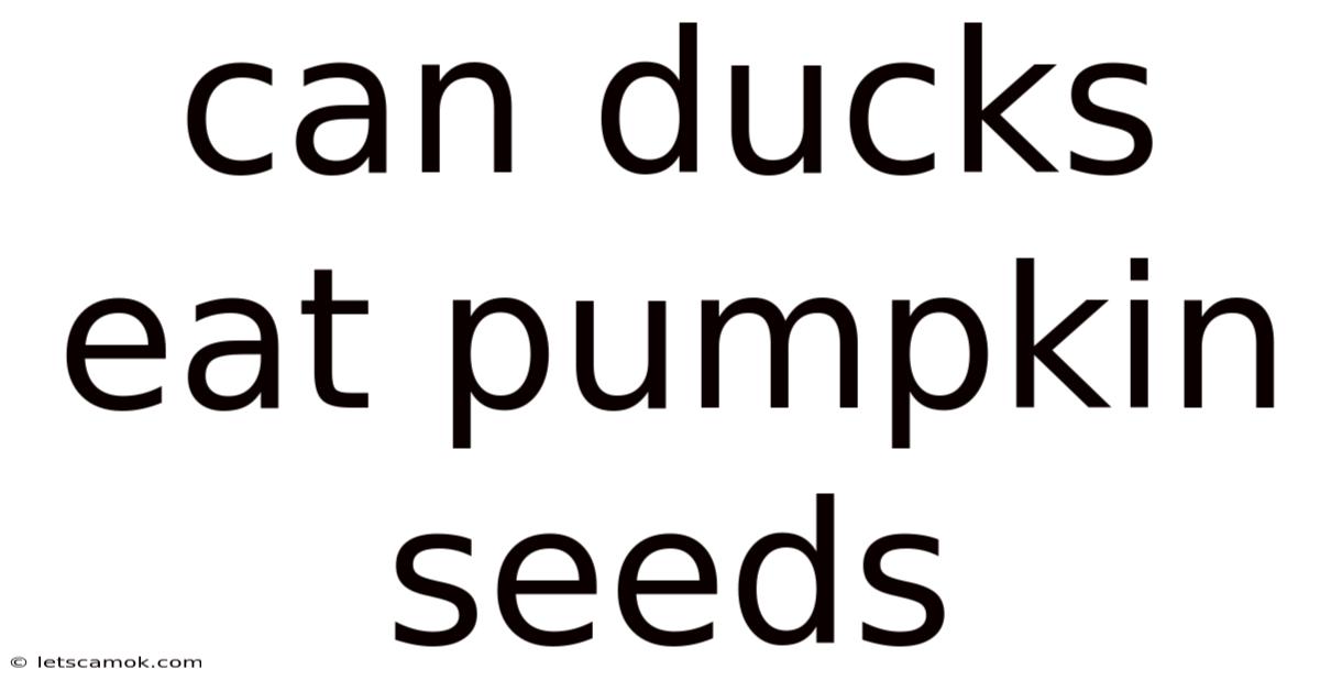 Can Ducks Eat Pumpkin Seeds