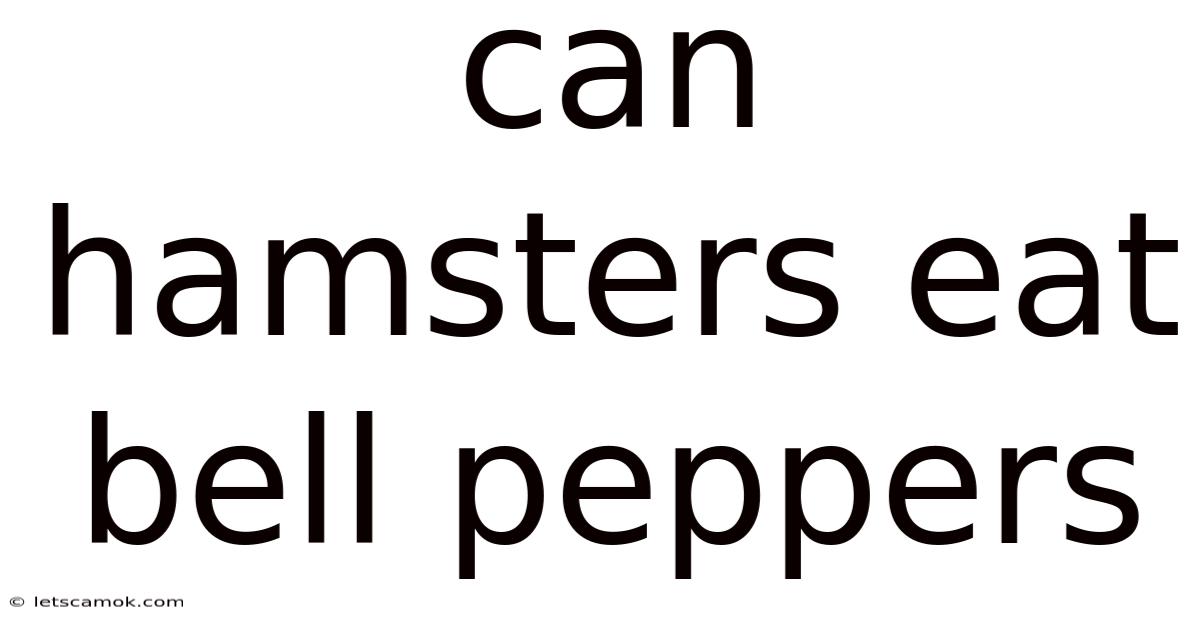 Can Hamsters Eat Bell Peppers