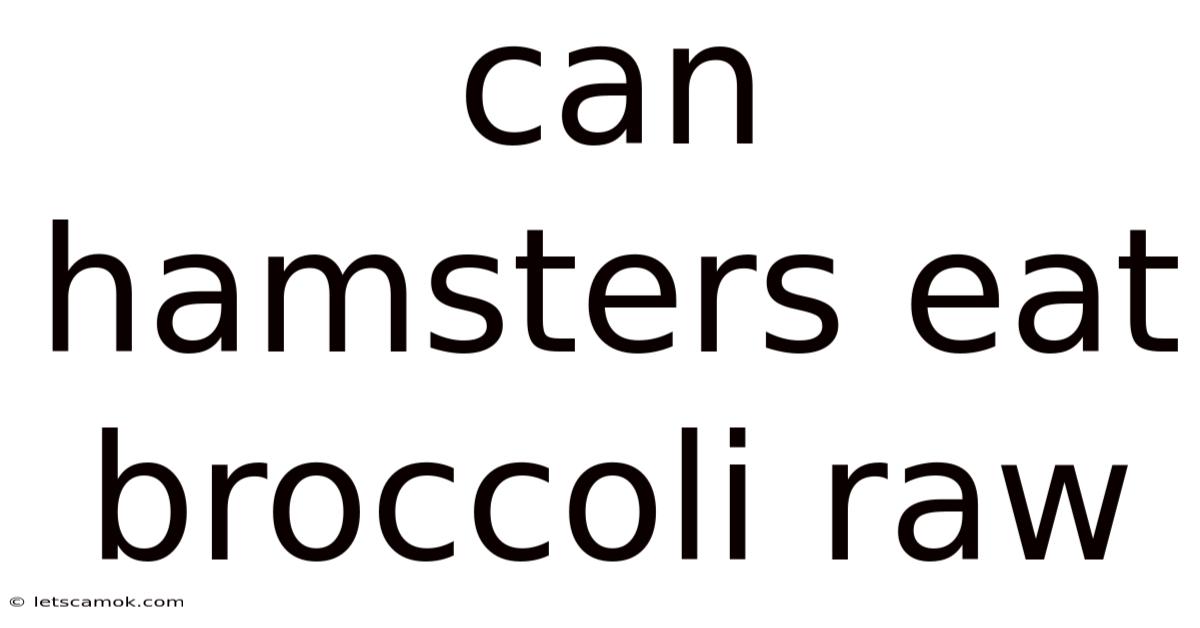 Can Hamsters Eat Broccoli Raw