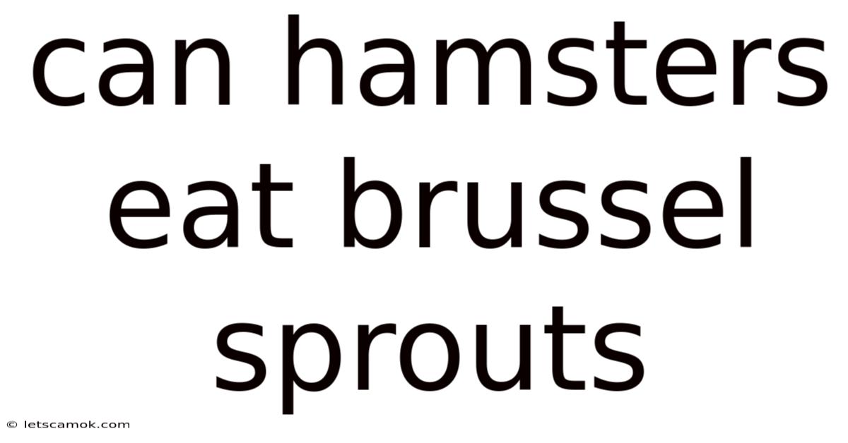 Can Hamsters Eat Brussel Sprouts