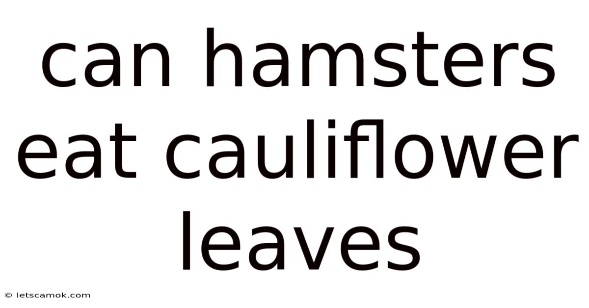 Can Hamsters Eat Cauliflower Leaves
