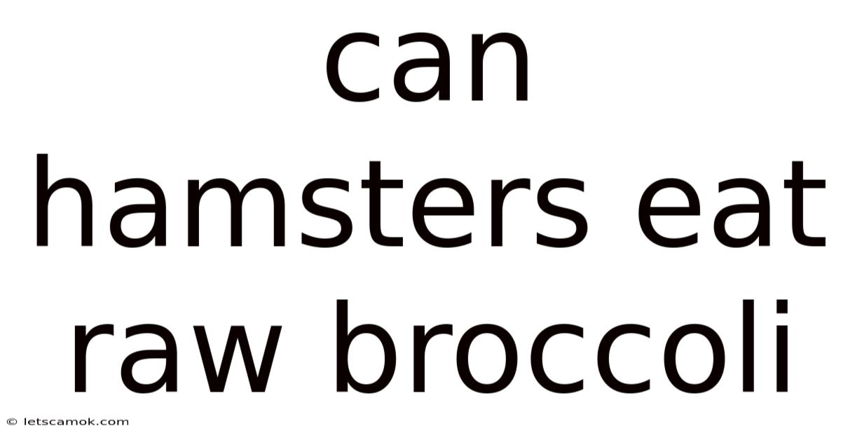 Can Hamsters Eat Raw Broccoli