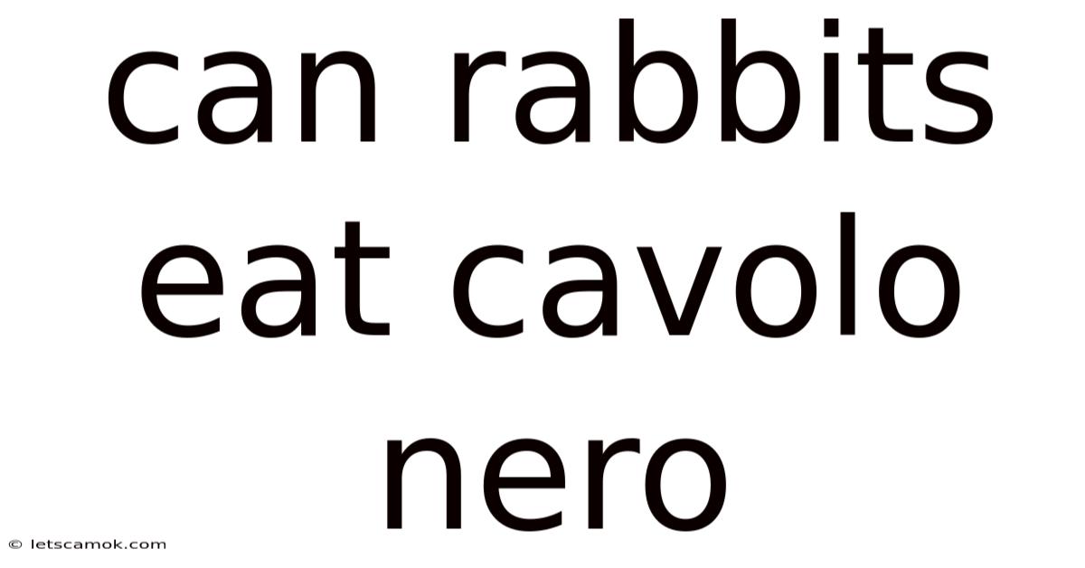 Can Rabbits Eat Cavolo Nero