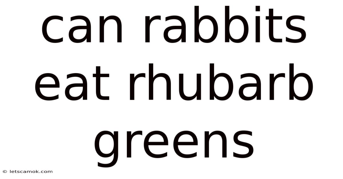 Can Rabbits Eat Rhubarb Greens