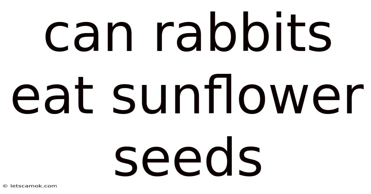 Can Rabbits Eat Sunflower Seeds