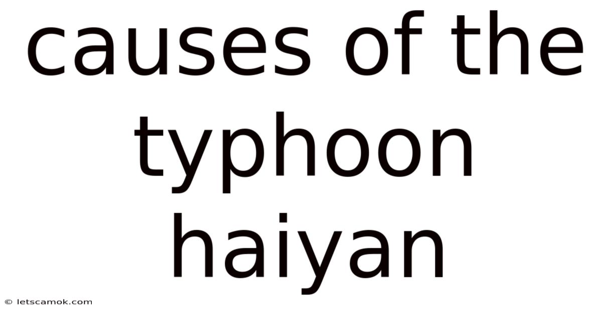 Causes Of The Typhoon Haiyan