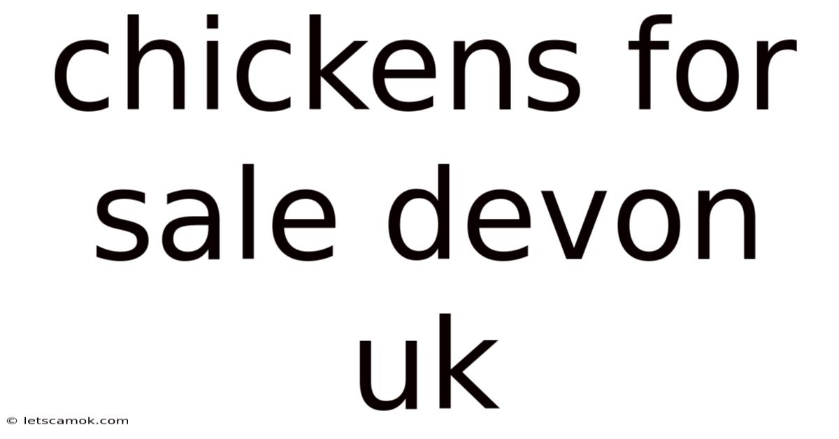 Chickens For Sale Devon Uk